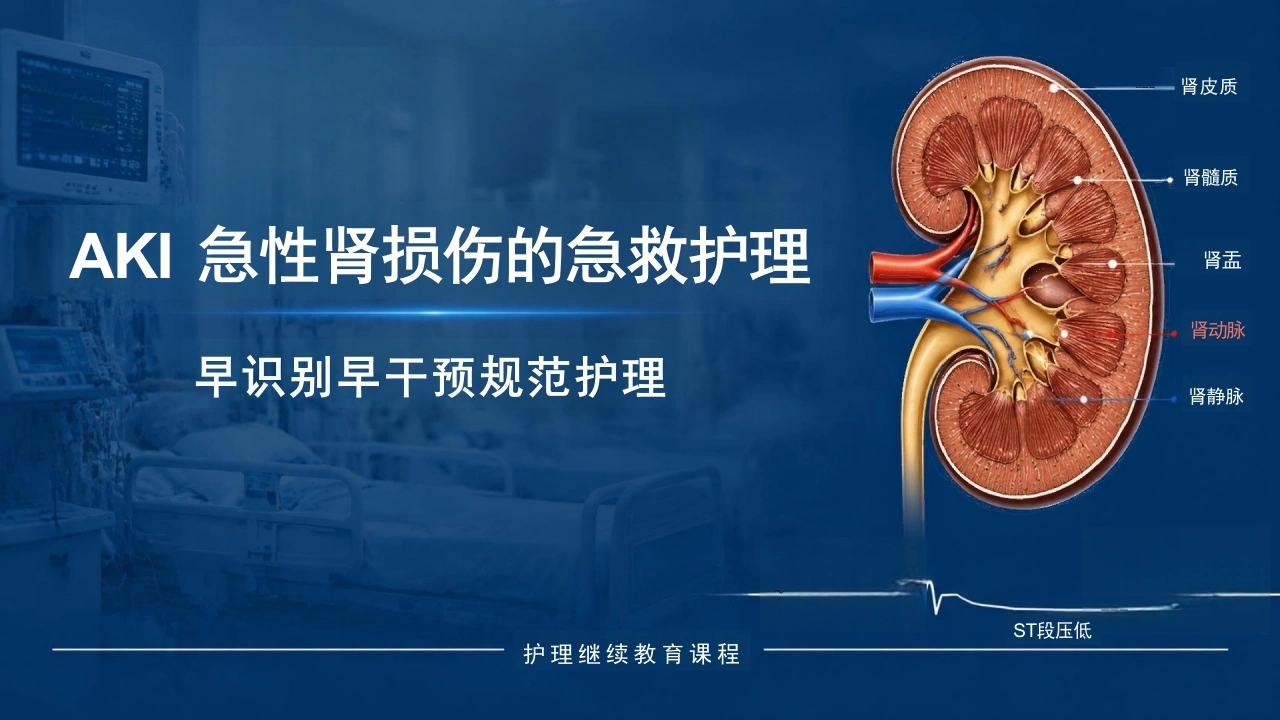 AKI急性肾损伤的急救护理-29页-白衣资料网