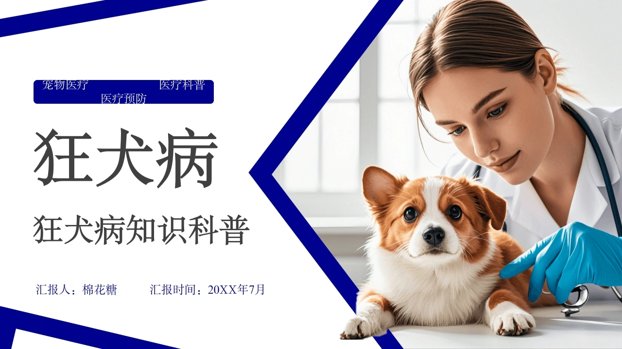 C336狂犬病知识科普PPT-白衣资料网