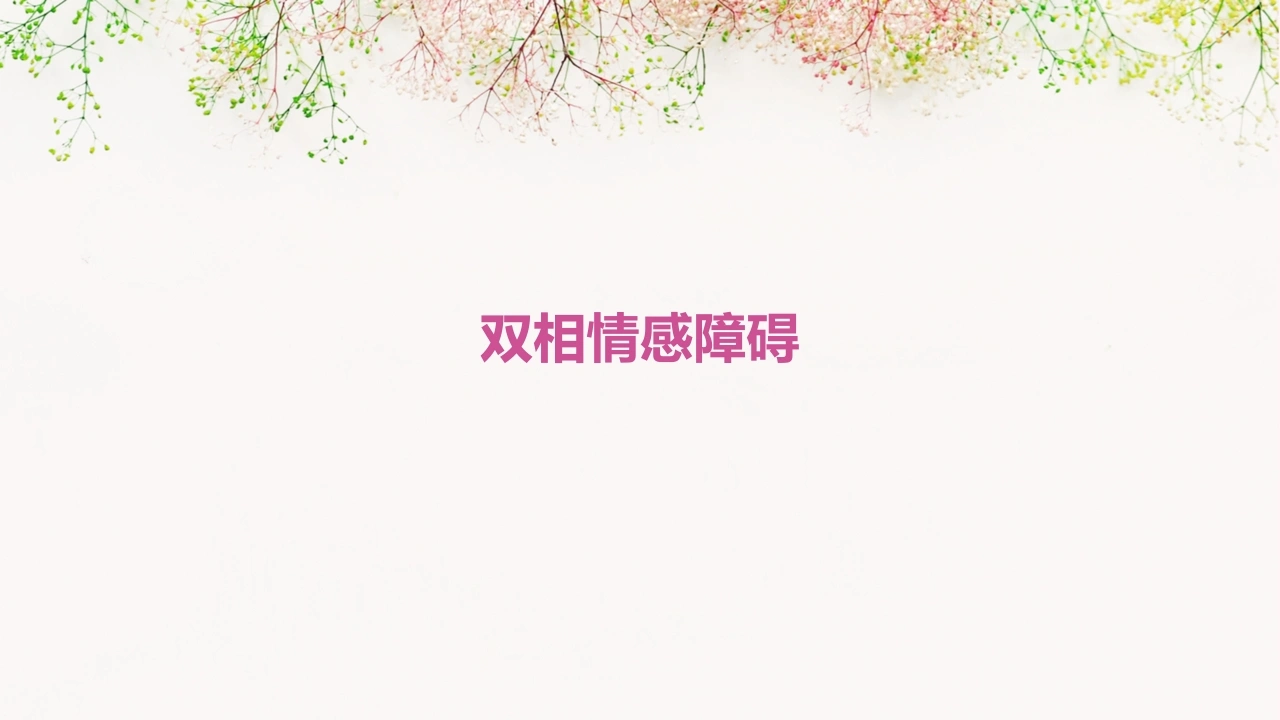 C393双相情感障碍PPT-白衣资料网