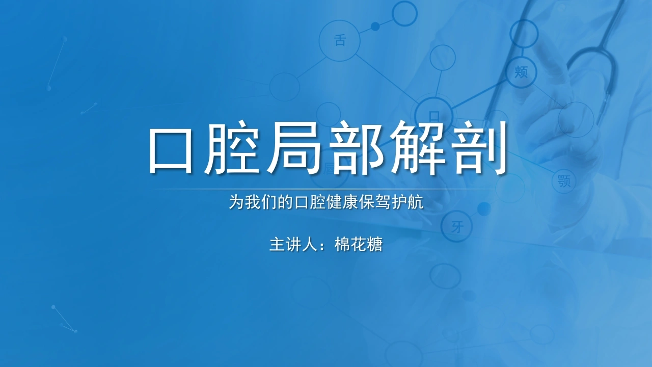 C511口腔局部解剖PPT-白衣资料网