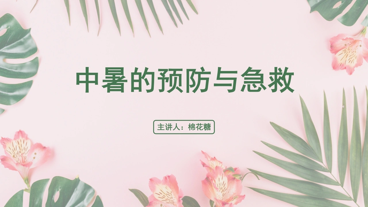 C513中暑的预防与急救PPT