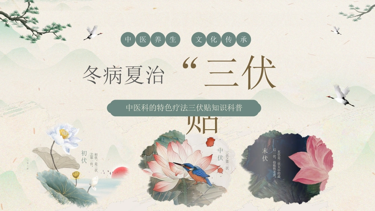 C558冬病夏治三伏贴PPT-白衣资料网
