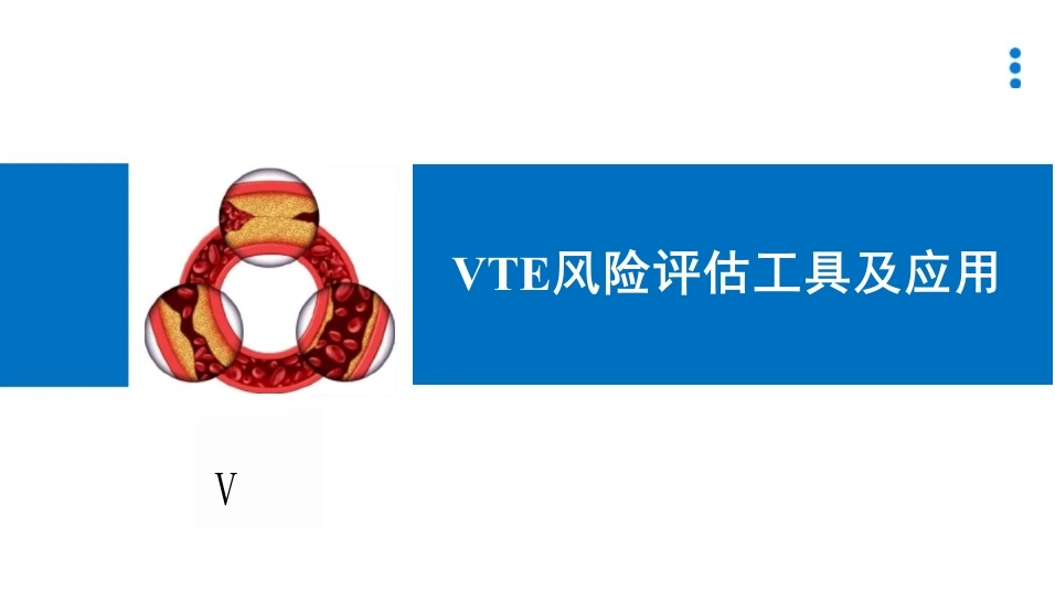 VTE风险评估工具及应用-31页-白衣资料网