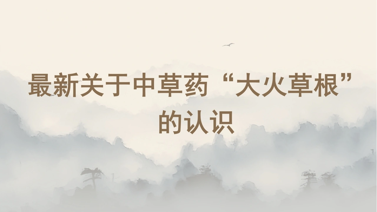 W337最新关于中草药“大火草根”的认识PPT课件-白衣资料网