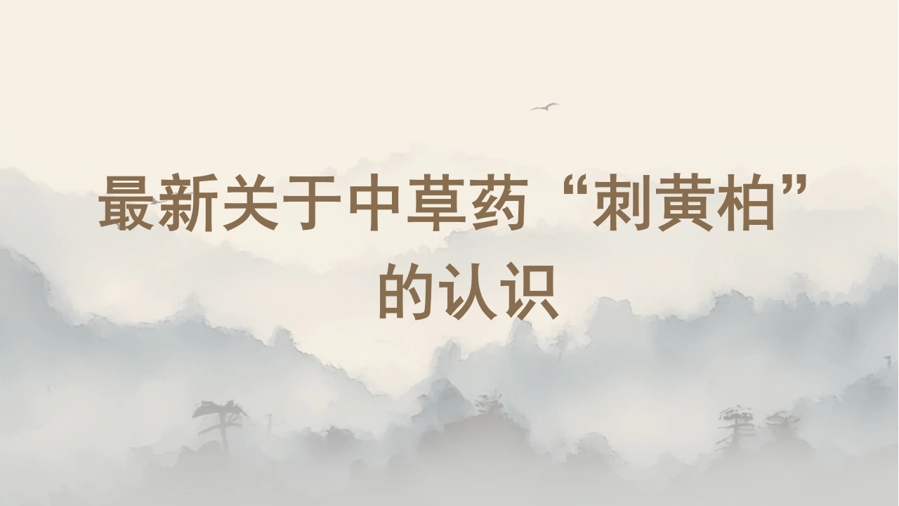 W339最新关于中草药“刺黄柏”的认识PPT课件-白衣资料网