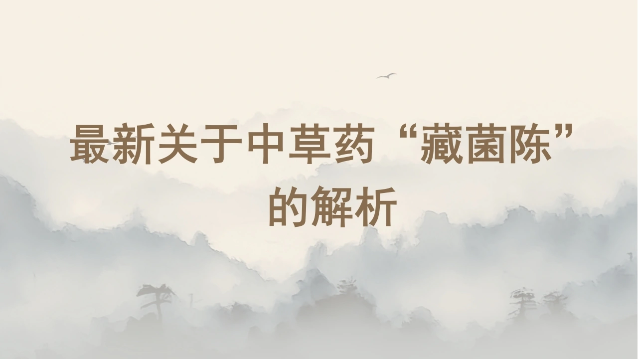 W340最新关于中草药“藏菌陈”的解析PPT课件-白衣资料网