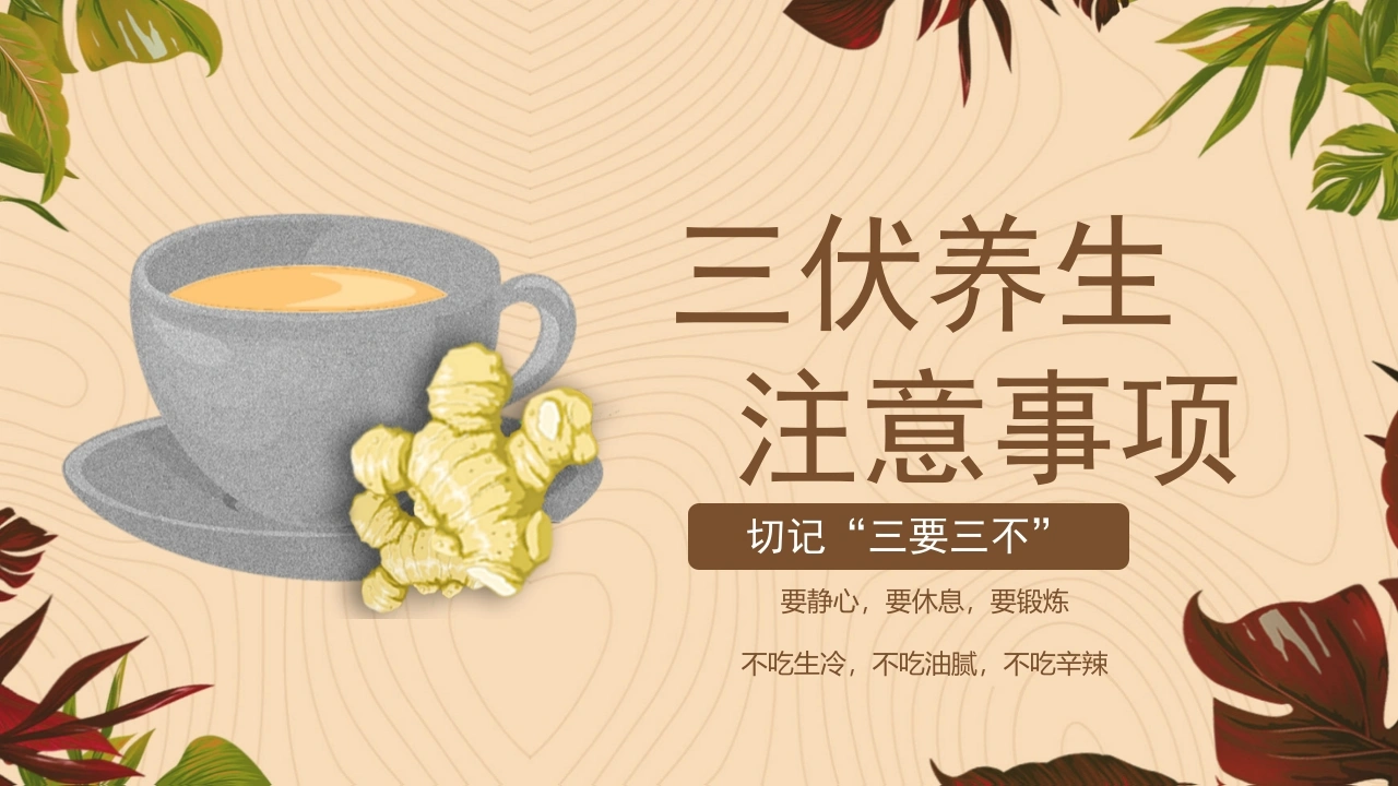 三伏养生注意事项D256-白衣资料网