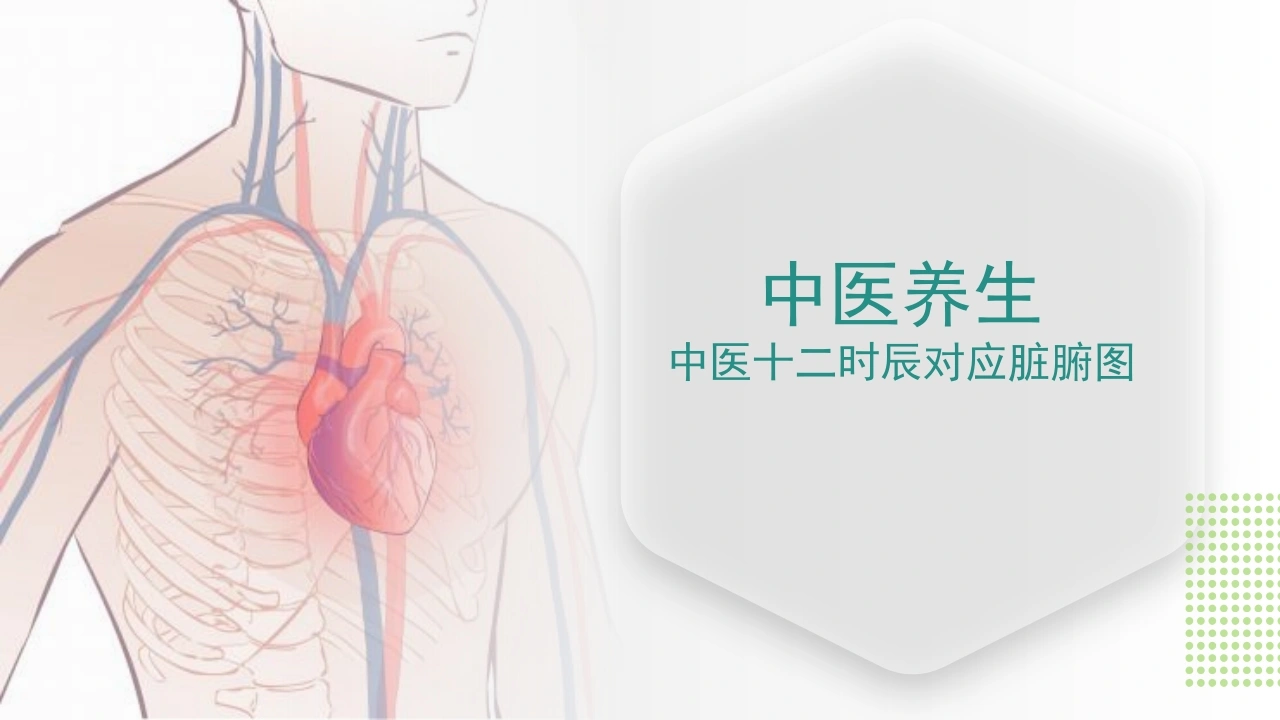 中医养生中医十二时辰对应脏腑图B248-白衣资料网