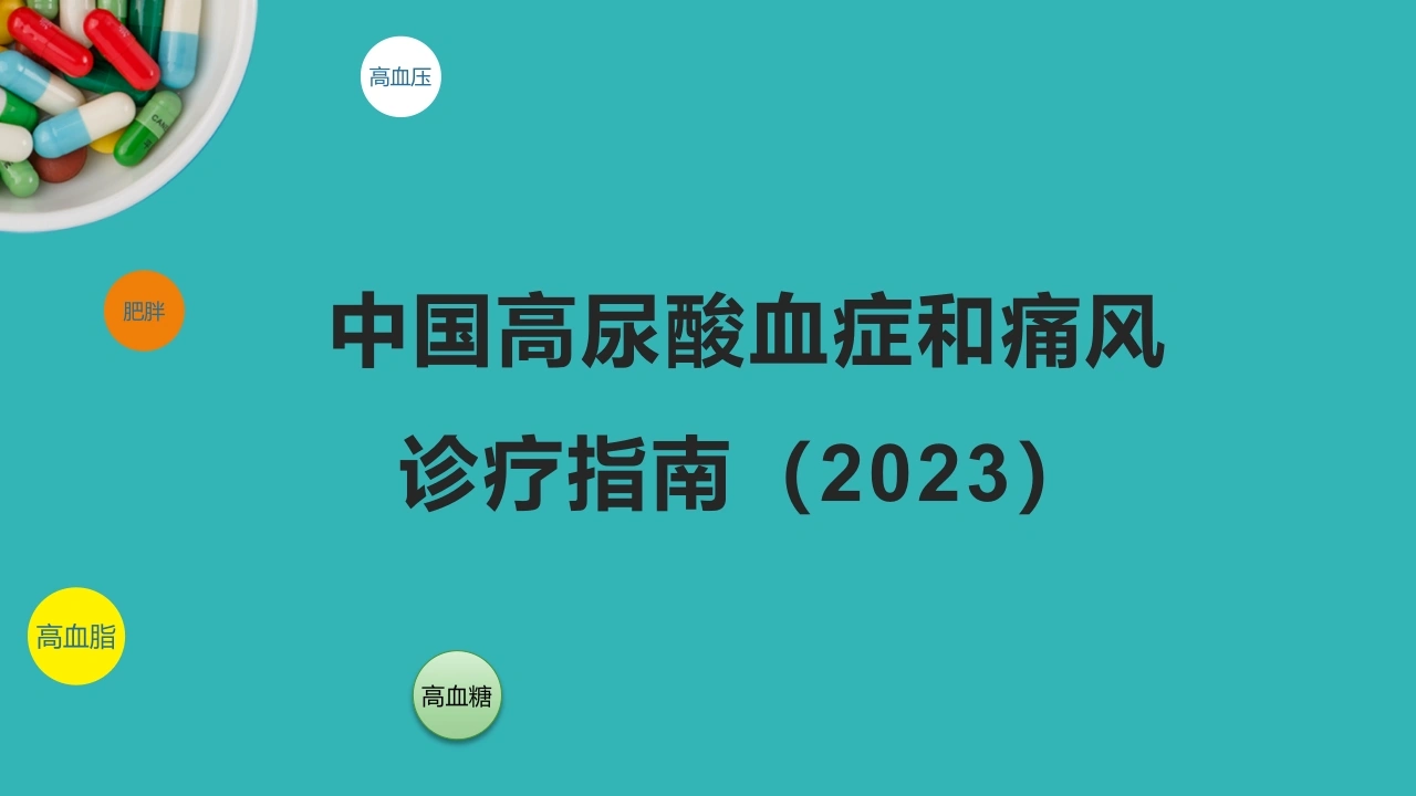 中国高尿酸血症和痛风诊疗指南2023C293-白衣资料网