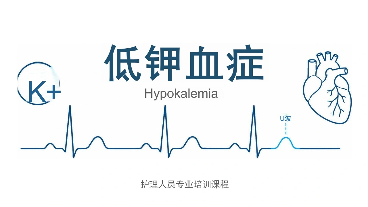 低钾血症相关知识课件-26页-白衣资料网