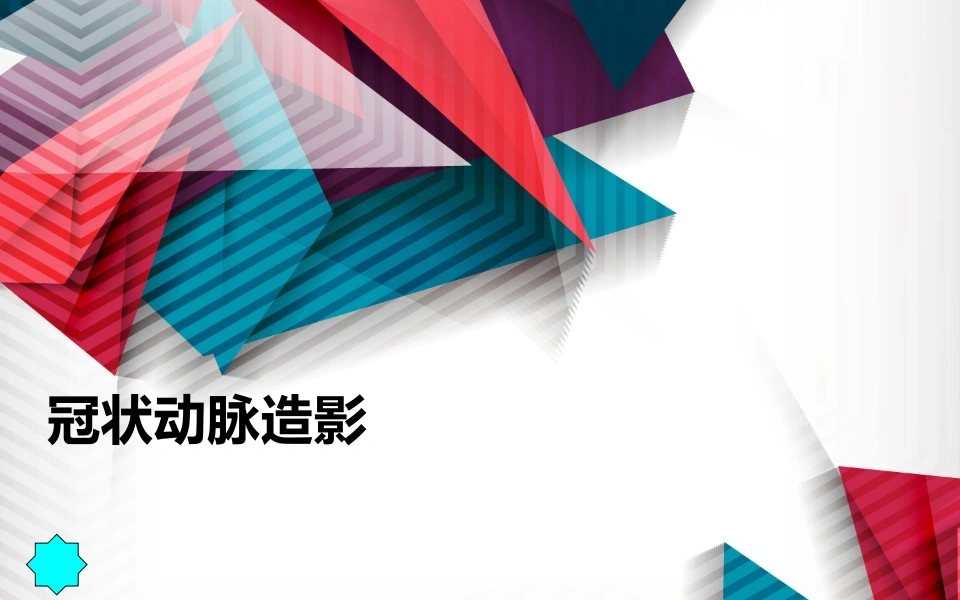 冠状动脉造影B192-白衣资料网