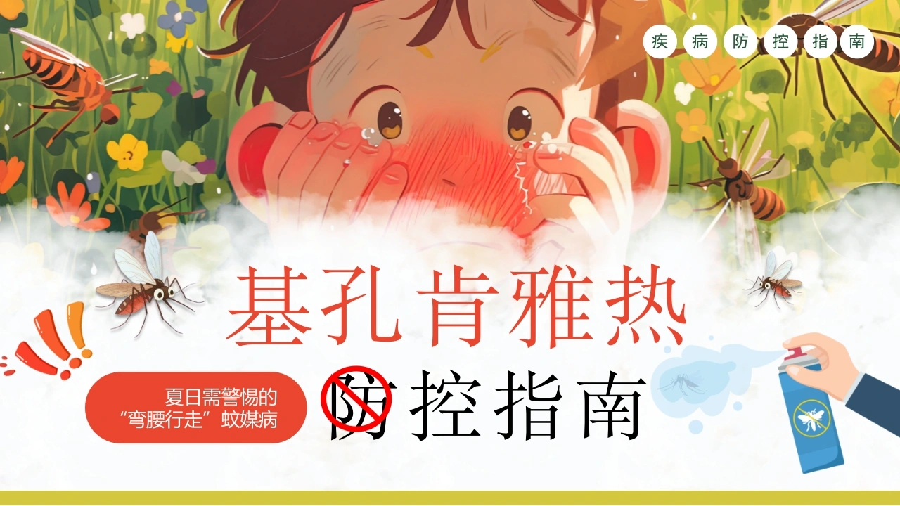 基孔肯雅热防控指南C319-白衣资料网