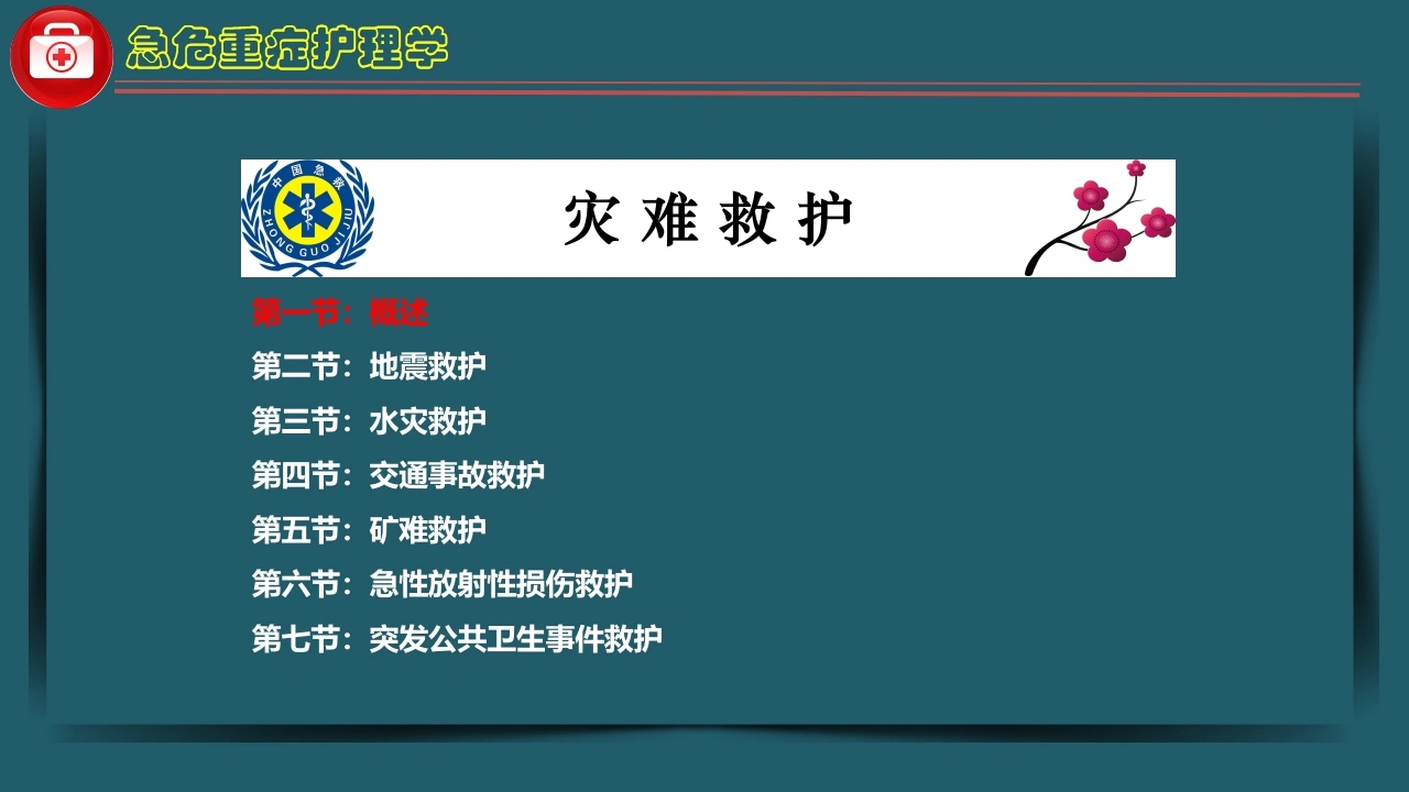 急危重症护理学-灾难救护C261-白衣资料网