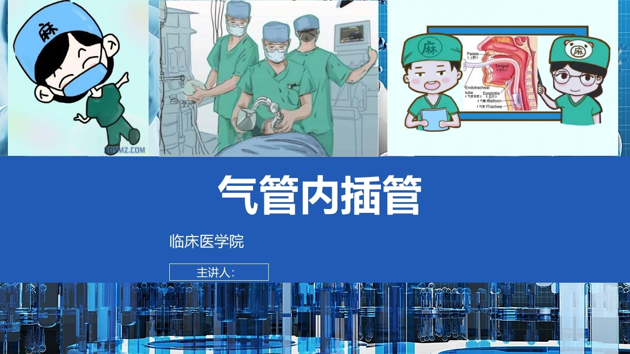 气管内插管A251-白衣资料网