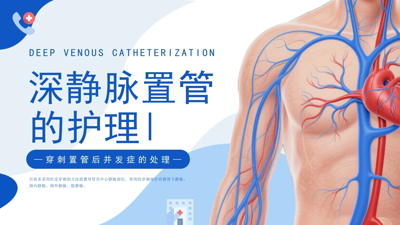 深静脉置管的护理C297-白衣资料网