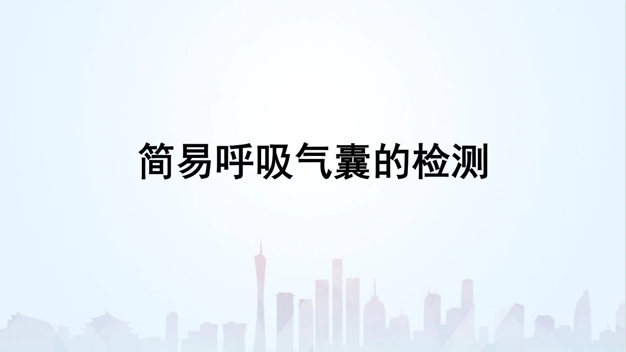 简易呼吸球囊组成与检测D224-白衣资料网
