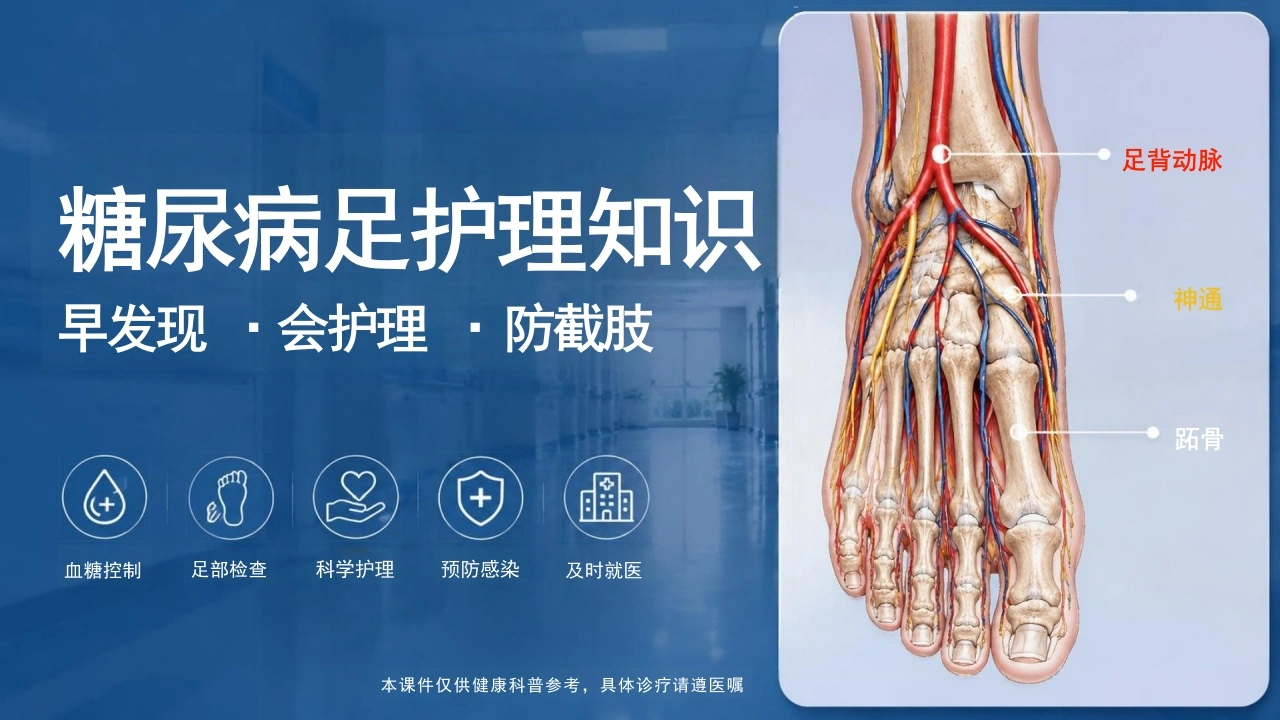 糖尿病足护理知识——早发现·会护理·防截-27页-白衣资料网