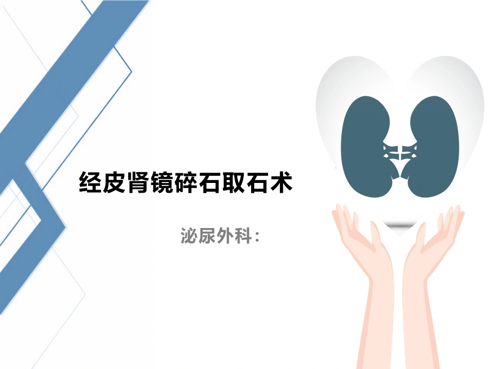 经皮肾镜碎石取石术D215-白衣资料网