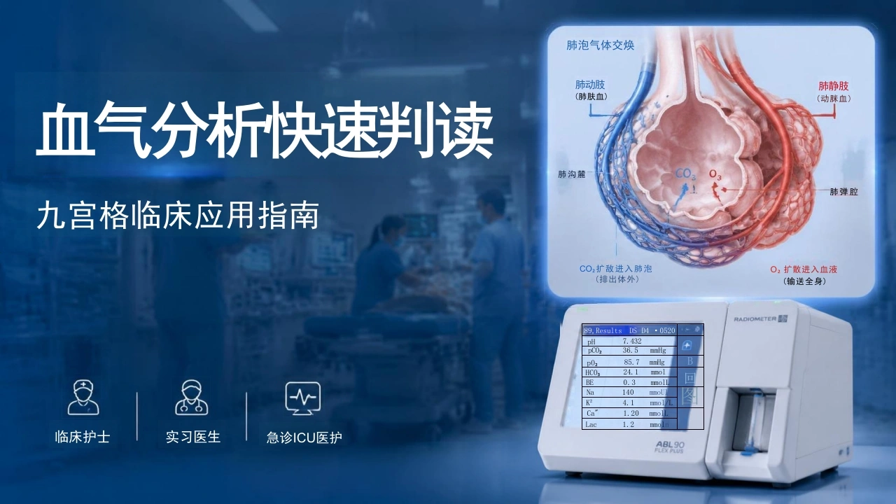 血气分析快速判读-九宫格临床应用指南-26页-白衣资料网