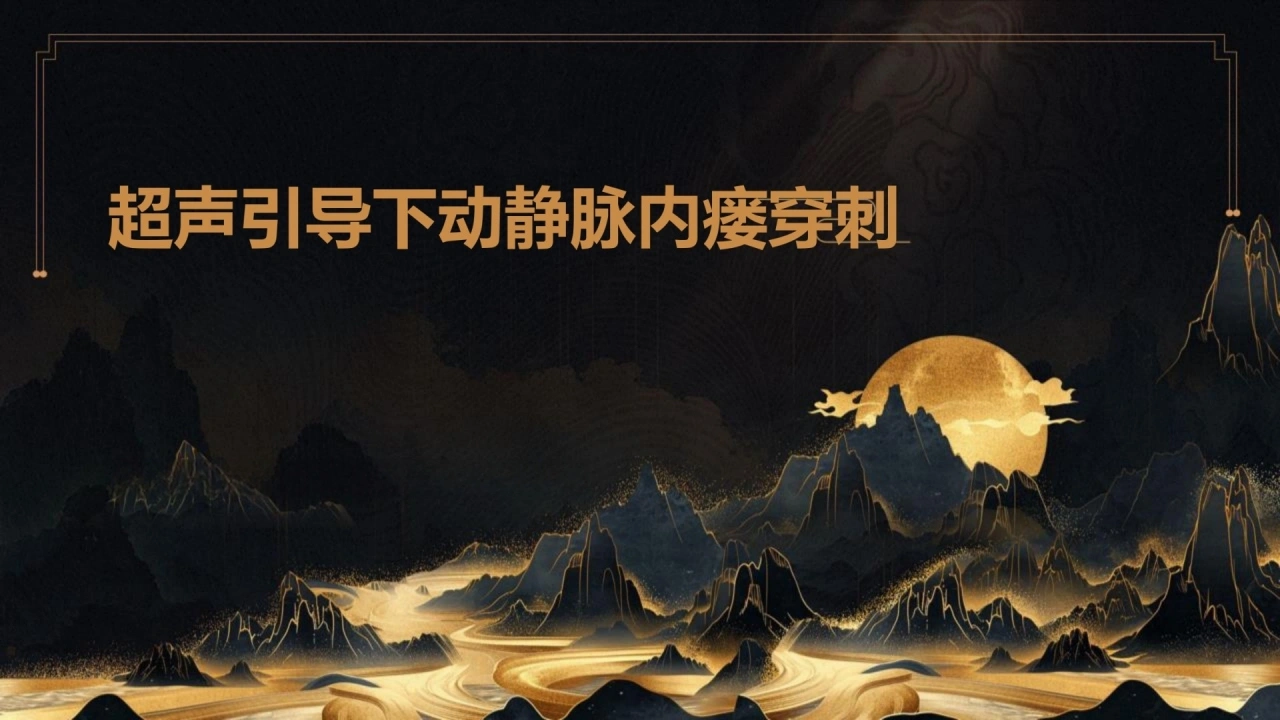 超声引导下动静脉内瘘穿刺ppt_30页
