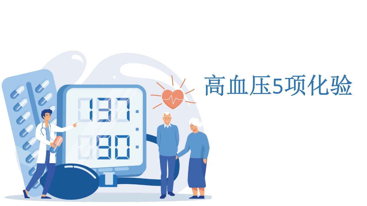 高血压5项化验C279-白衣资料网